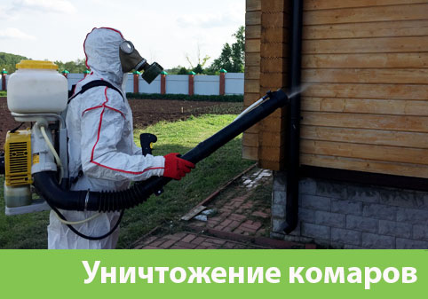 Уничтожение комаров в городе Одинцово